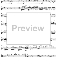 String Bass Concerto - Bass