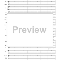 Harry Potter Symphonic Suite - Score