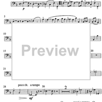 Concertino - Bassoon