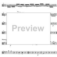 Eine Kleine Nachtmusik KV525 - Viola