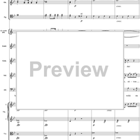 "Freundin, stille deine Tränen", No. 15 from "Zaide", Act 2, K336b (K344) - Full Score