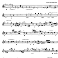 String Quintet C Major Op.29 - Violin 1