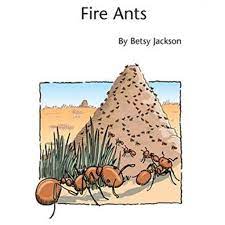 Fire Ants
