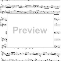 Flute Sonata in D Major, Op. 2, No. 5 - Flute