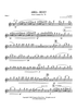 Aria - Duet from Cantata No. 78 - Flute 1