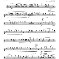 Aria - Duet from Cantata No. 78 - Flute 1