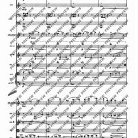 Il Vitalino raddoppiato - Full Score