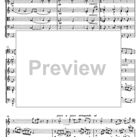 Contrabbasso concertante - Score
