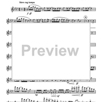 The Thriller (Rag) - Flute