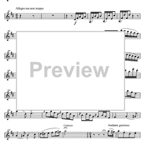 Concerto No. 4 D Major KV218 - Violin