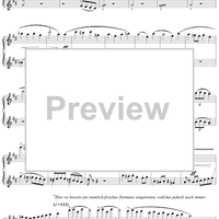 Symphony No. 1 in D Major, "Titan", Movement 1