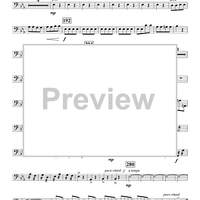 Concerto in E-flat - String Bass