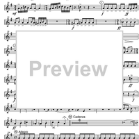 Concertino - Horn in E-flat 1