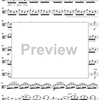 Viola d'Amore Concerto in G Major - Viola