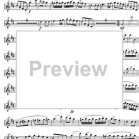 Quartet D Major KV285 - Flute