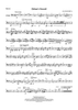 Orion`s Sword - Bassoon