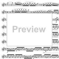 Concerto G Major Op.61 - Violin