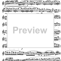 Preliminary studies to 'The Accomplished Clarinettist' Vol. 2 - Clarinet