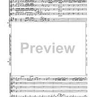 Double Concerto for Recorder and Flute in E minor - Score