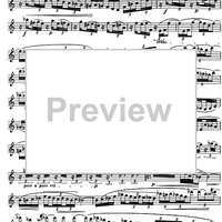 The Accomplished Clarinettist Vol. 1 - Clarinet