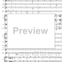 "Tiger! Wetze nur die Klauen", No. 13 from "Zaide", Act 2, K336b (K344) - Full Score