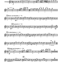 Laredo Variations - Flute