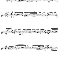 Sonata no. 1 in G minor: First Movement