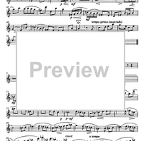 Bündner Tänze Op.108b - Flute