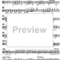 Impromptu No.22 Op.79