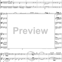 Eine kleine Nachtmusik - Score