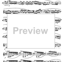 Preliminary studies to 'The Accomplished Clarinettist' Vol. 3 - Clarinet