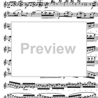 The Accomplished Clarinettist Vol. 1 - Clarinet