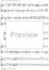 Concerto in E Minor Op. 37 no. 6 - Flute/Violin