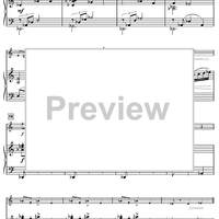 Harry's Wondrous World