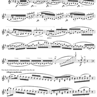 Study No. 59 in G Major