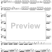 Flute Concerto in G Major, Op. 10, No. 6 - Flute