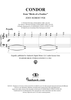 Condor