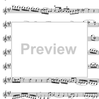 Concerto No. 4 D Major KV218 - Violin