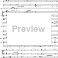 "Soll ich dich, Teurer, nicht mehr sehen?", No. 19 from  "Die Zauberflöte", Act 2 (K620) - Full Score