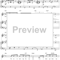 I'm a Stranger Here Myself