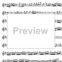 Concerto No. 2 C Major KV314 - Flute