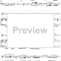 Flute Concerto in G Major, Allegro vivace - Piano