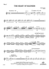 The Heart of Madness - Flute 2