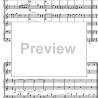 Divertimento F Major KV253 - Score