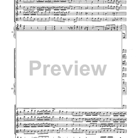 Double Concerto for Recorder and Flute in E minor - Score