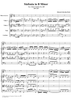 Sinfonia in B minor - No.1 from Cantata No. 209 - BWV209