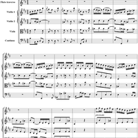 Sinfonia in B minor - No.1 from Cantata No. 209 - BWV209