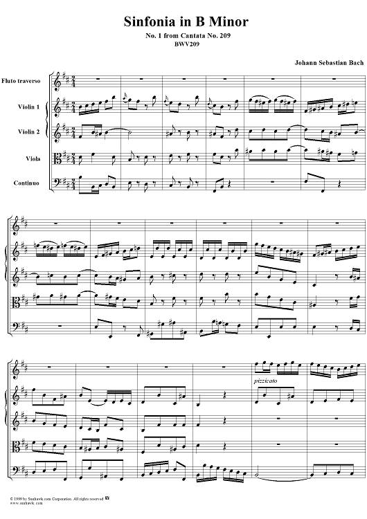 Sinfonia in B minor - No.1 from Cantata No. 209 - BWV209