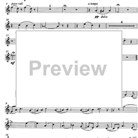 Quodlibetrio - Flute