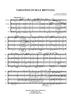 Variations On Rule Britannia - Score